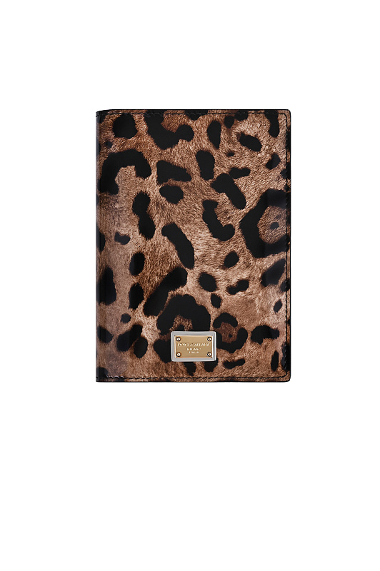 Обложка для паспорта