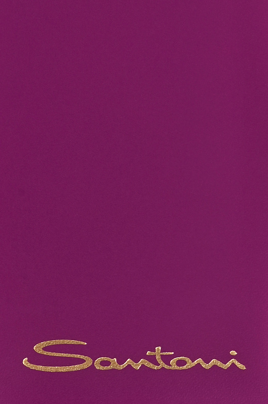 Картхолдер SANTONI Фиолетовый Женский UFPGA2581FO-AUXUI00