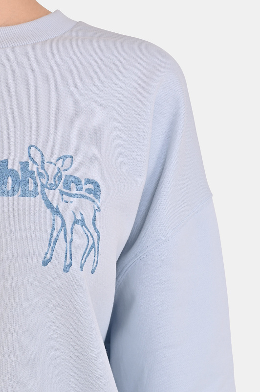 Свитшот DOLCE & GABBANA  Голубой Женский F9Q92Z GDDM6