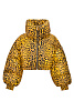 Куртка DOLCE & GABBANA Леопардовый Куртка DOLCE & GABBANA Леопардовый