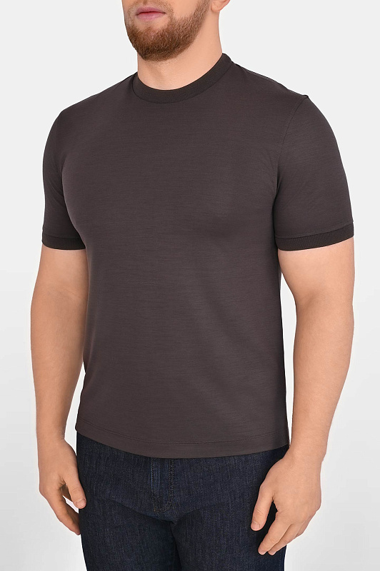 Футболка CANALI Темно-коричневый Мужской T0908 MJ02338